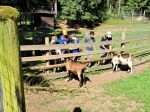IMG-20250625-WA0126